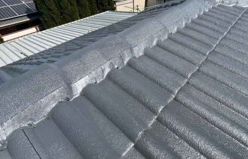 Protective Coatings and Roof Painting